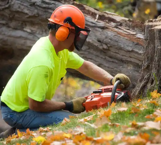 tree services Fonda